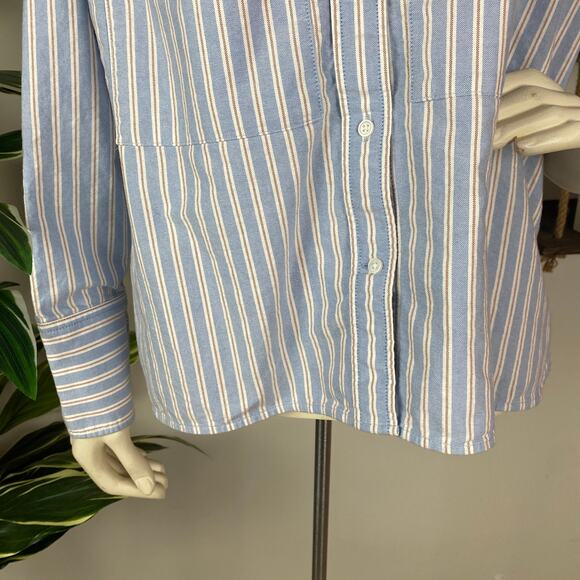 Everlane Boxy Oxford in Blue Stripes - Picture 3 of 6
